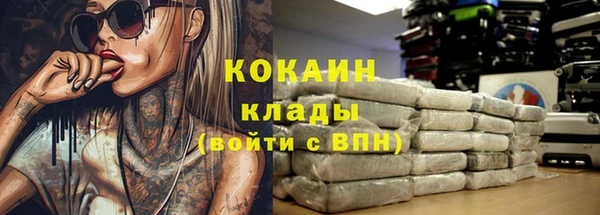 трава Верея