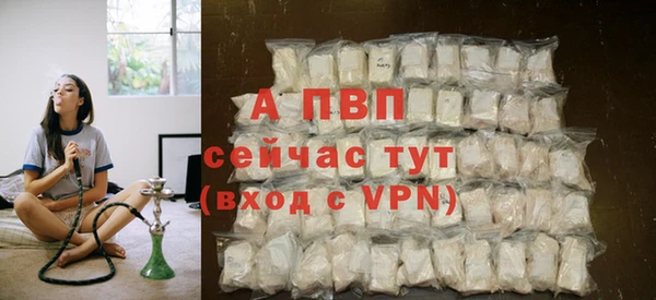 трава Верея