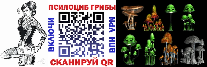 как найти закладки  Малмыж  hydra tor  Псилоцибиновые грибы Psilocybe 